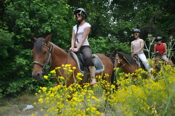 Horse Safari