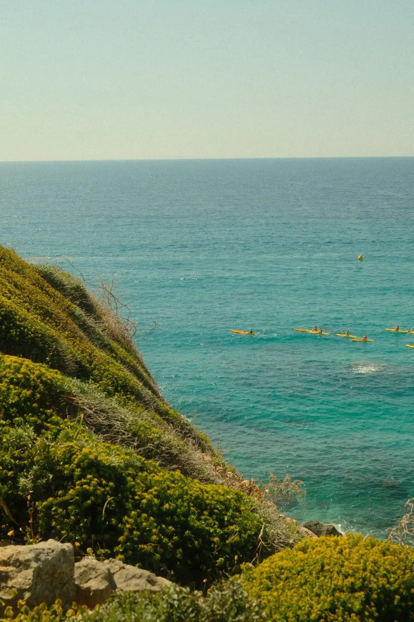 Canoe — 2/3