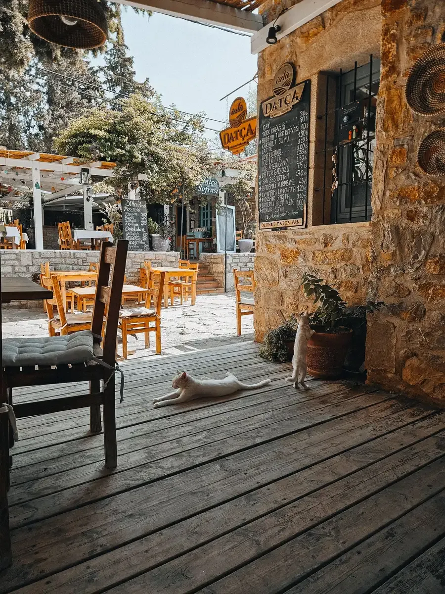 Datça Tour