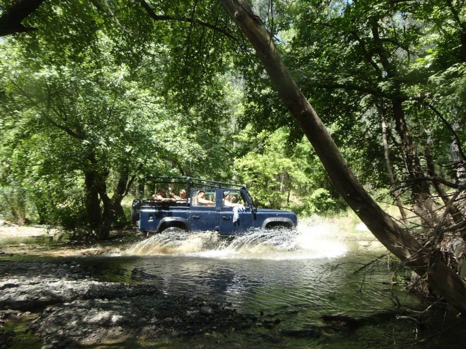 Jeep Safari — 3/3