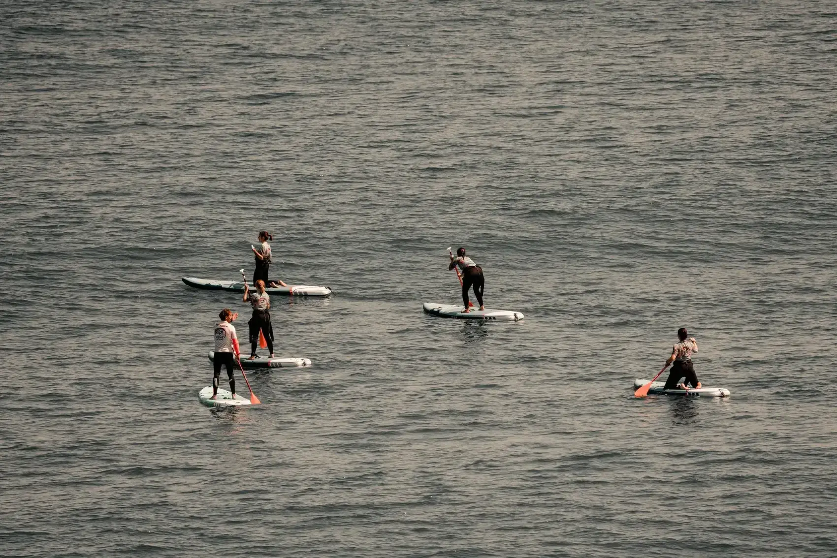 SUP Board