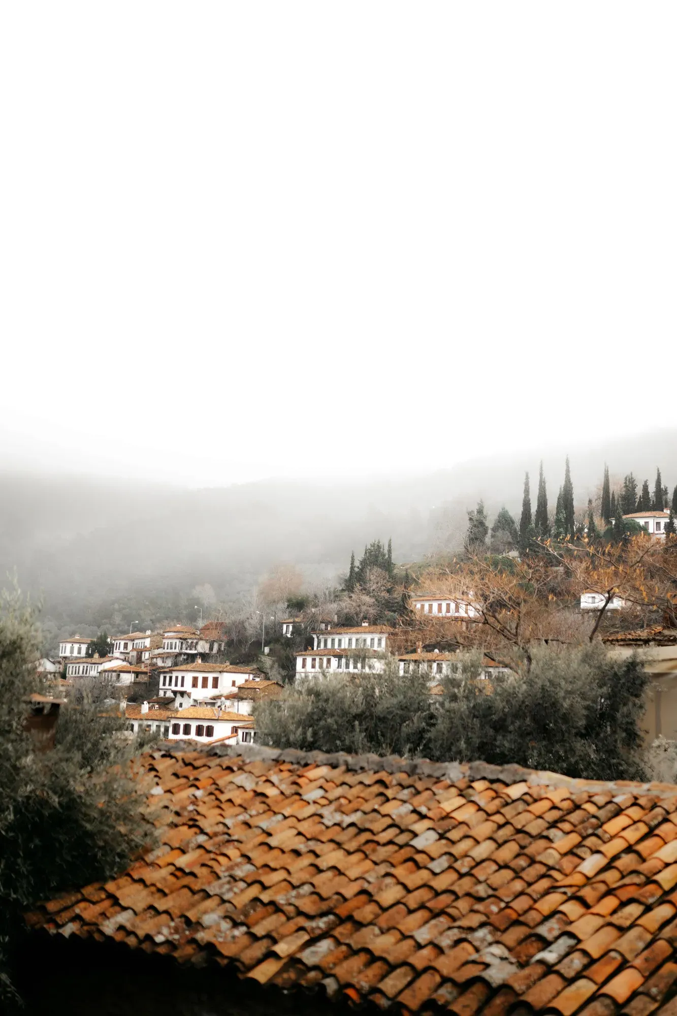 Village Tour — 2/3