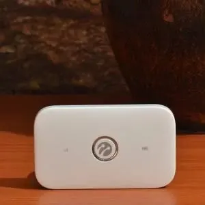 Pocket Wi-Fi Box Rental — 2/2